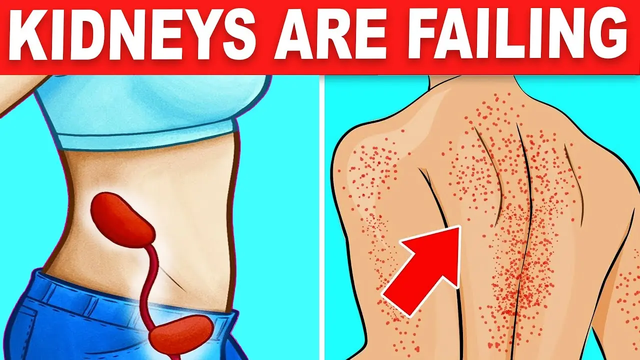 7 warning signs that your kidneys are "crying for help"