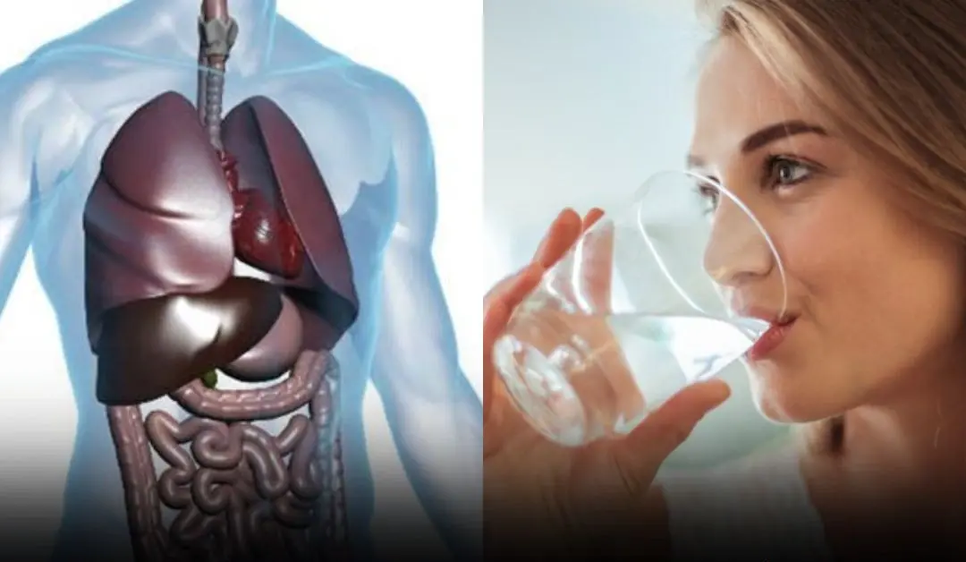 Why Drinking Water on an Empty Stomach After Waking Up Matters More Than You Think