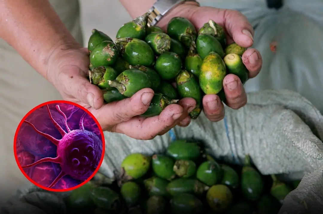 You might be eating these every day — and not know the dang:ers