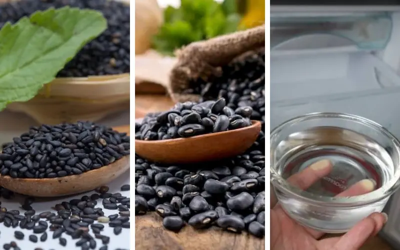 Black Beans and Black Sesame: The Ancient Pair That “Cleans by Day, Restores by Night” — Yet Most People Use It Wrong