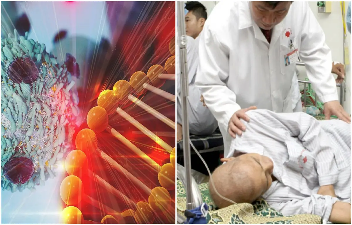 Top Hospitals Issue Stark Warning: This Common Meat May Be “Feeding” Can.cer — Just 50 Grams a Day Raises De.ath Risk by 18%