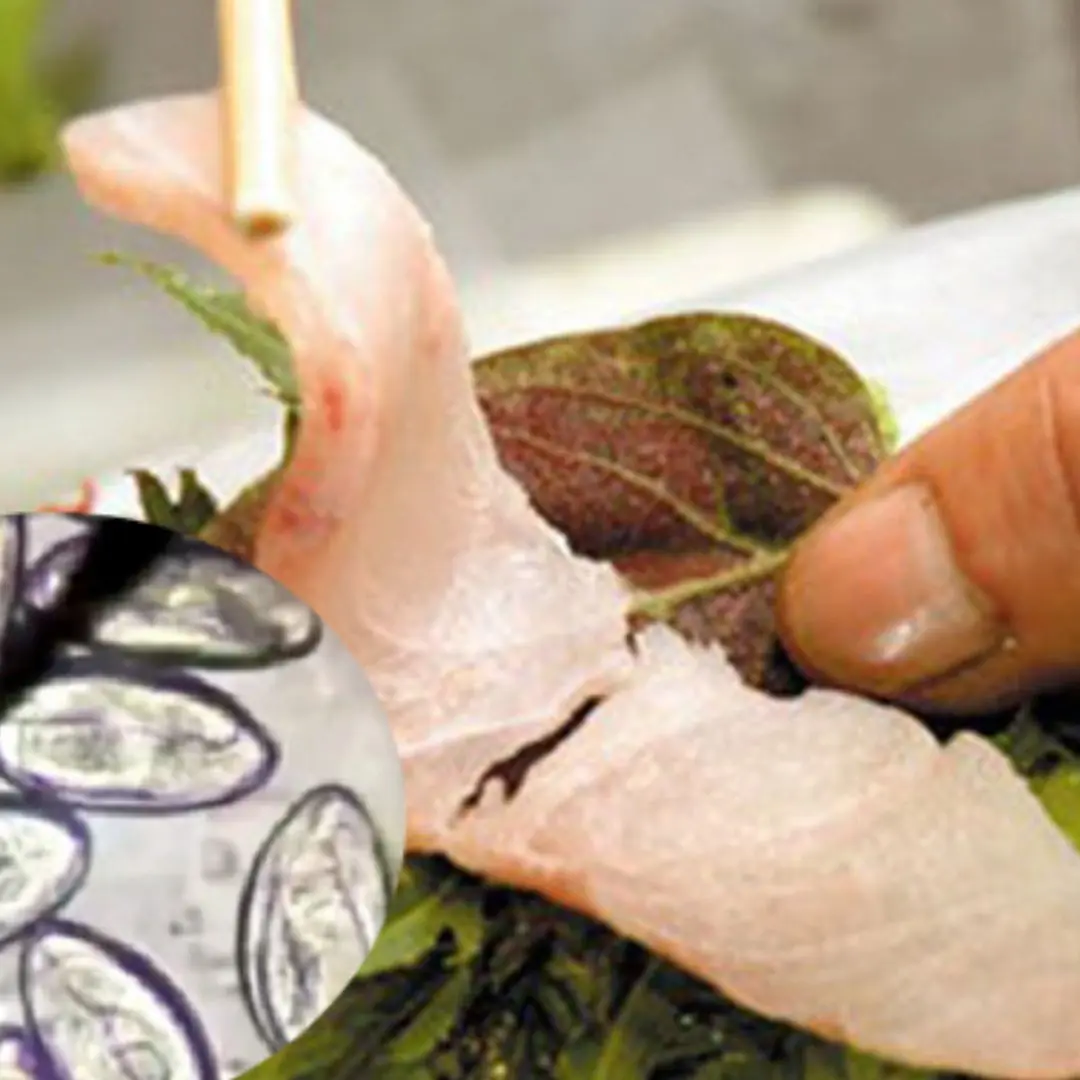 The risk of liver fluke infection from eating habits that many people have