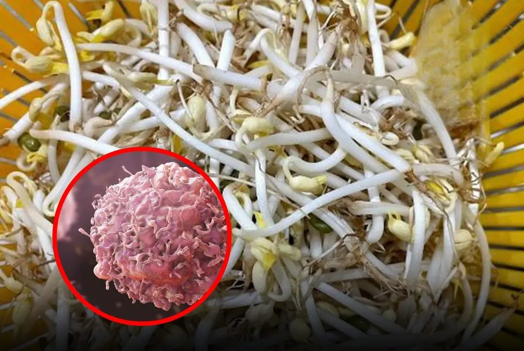 Experts Warn to Avoid Them Now!