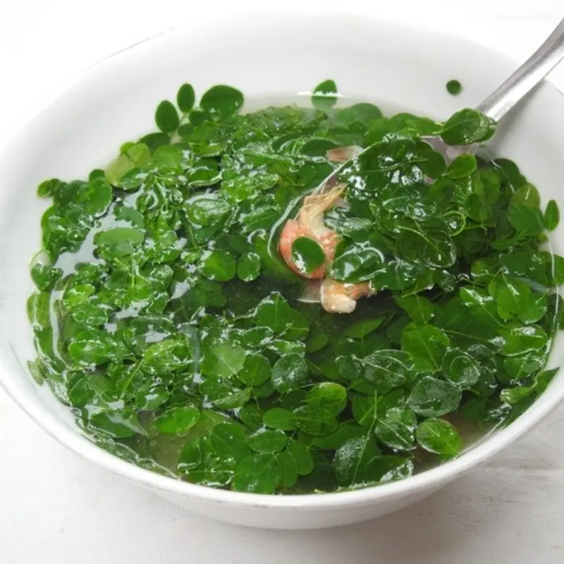 This vegetable can k.i.l.l over 90% of ca.n.cer cells, yet most people overlook it as just a wild plant