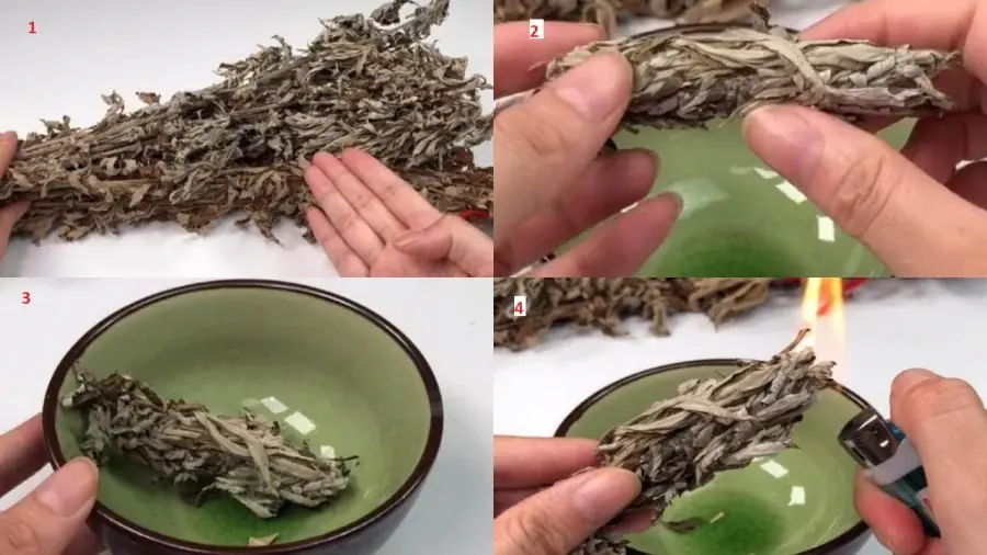 Mosquitoes are terrified of this leaf: Place a handful in your home and not a single one will dare to buzz around