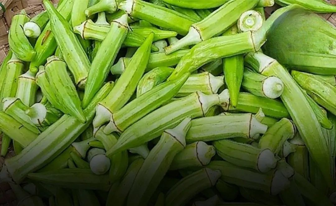 Okra Looks Healthy, but It May Be Off-Limits for These 3 Groups of People
