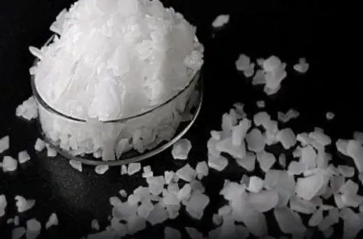 This One Superfood Could Tackle Major Health Issues—Here’s What You Need To Know