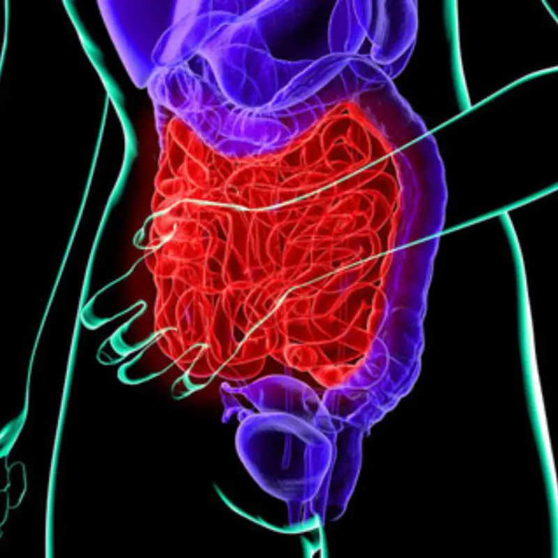 5 common warning signs of bladder can.cer you shouldn’t overlook