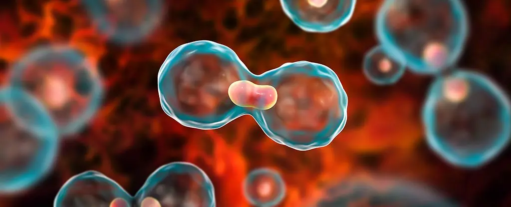 Vegetables listed as can:cer - causing that many people still eat, should be stopped immediately