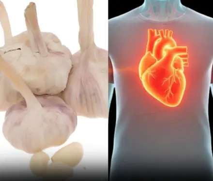 Medicinal Health Benefits of Garlic (Raw, Supplement) – Science Based