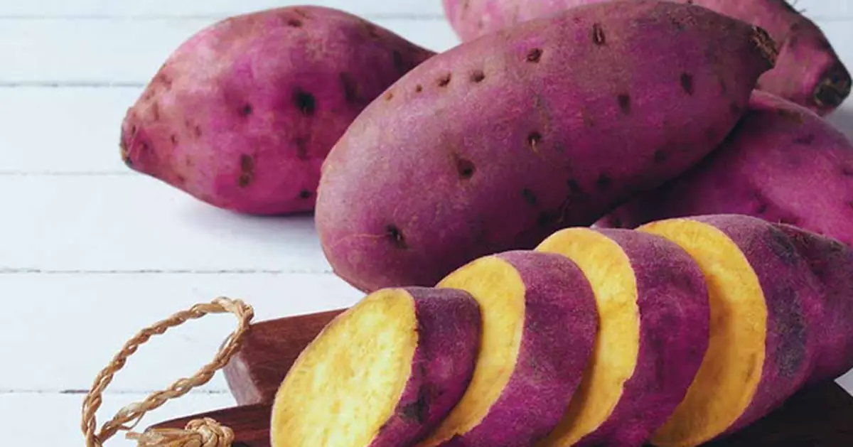 Morning sweet potatoes: A simple daily habit with major health benefits