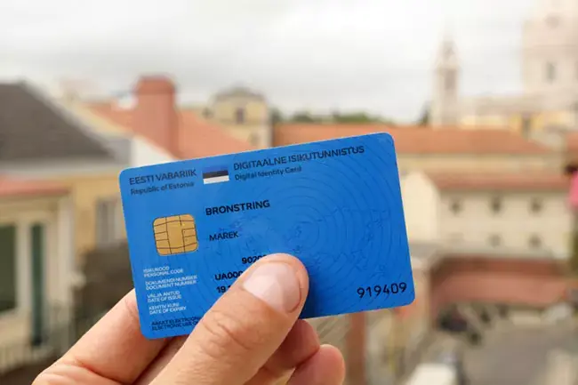 E-Residency: A Digital Revolution—or a Backdoor to Security Risk?