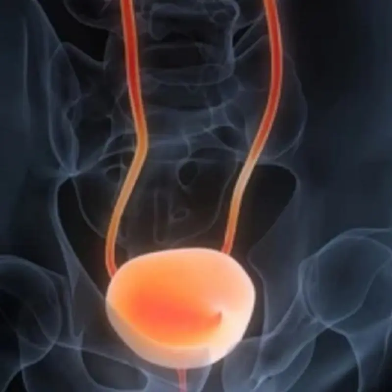 Early Signs and Symptoms of Bla.dder Can.cer: What to Watch For and When to See a Doctor