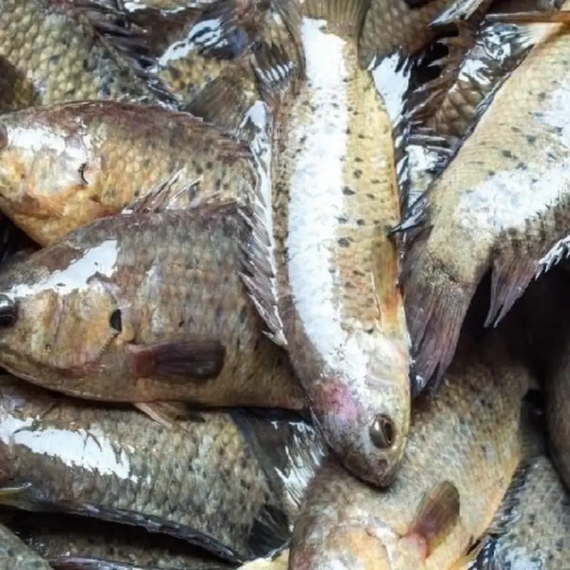 Not all cheap fish is a bargain: six kinds you may want to skip.