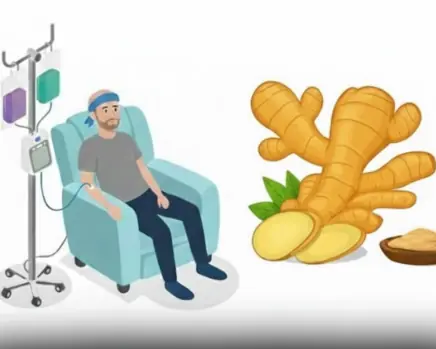 How Ginger Targets Prostate, Ovarian and Colon Cancer Stem Cells Better Than Chemo