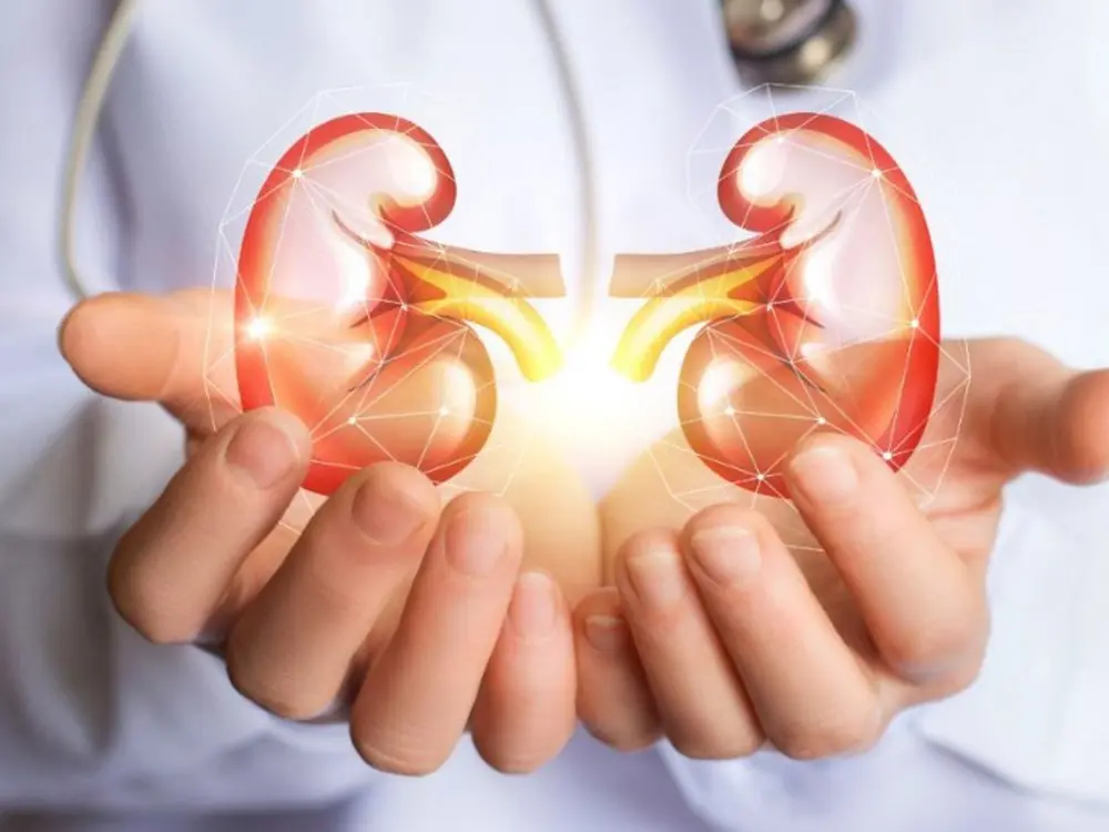 7 natural methods to help cleanse and protect your kidneys