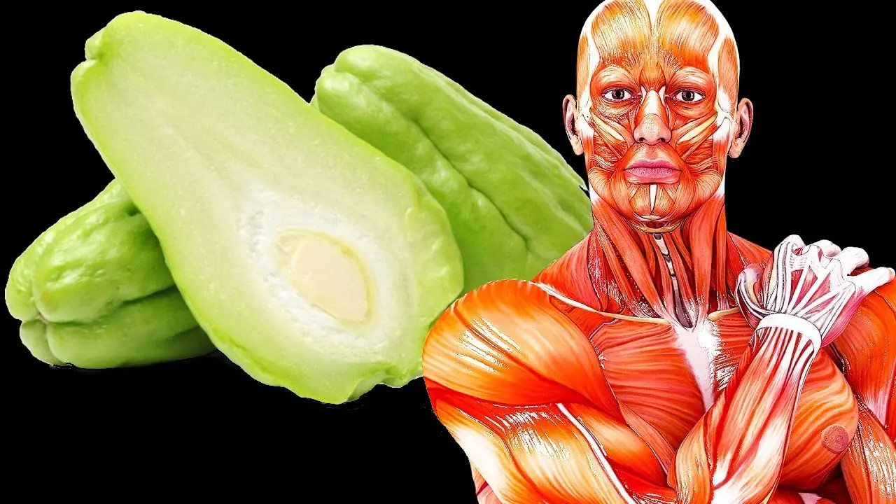 Stop Buying Pil.ls? The Chayote Craze Is Exploding—But Here’s the Truth Doctors Want You to Know