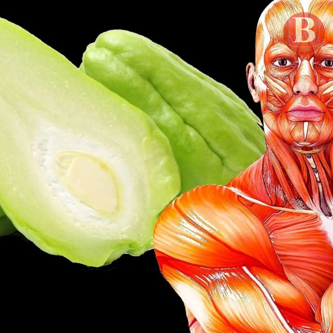 Chayote Squash Benefits:  7 Proven Health Advantages