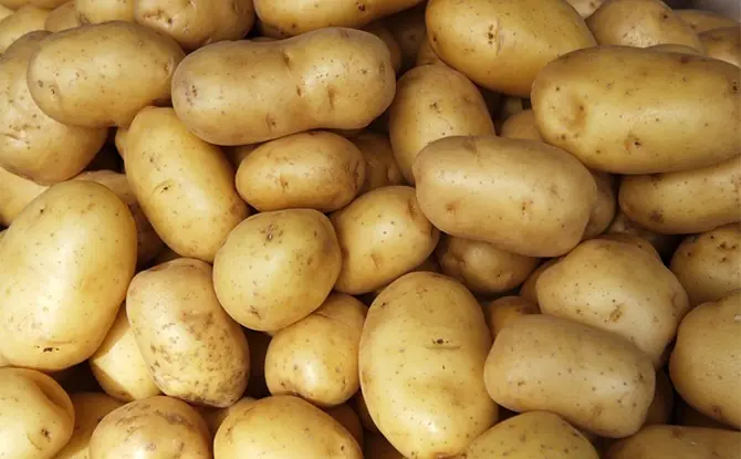 Potatoes are a great food, but these people should avoid eating them