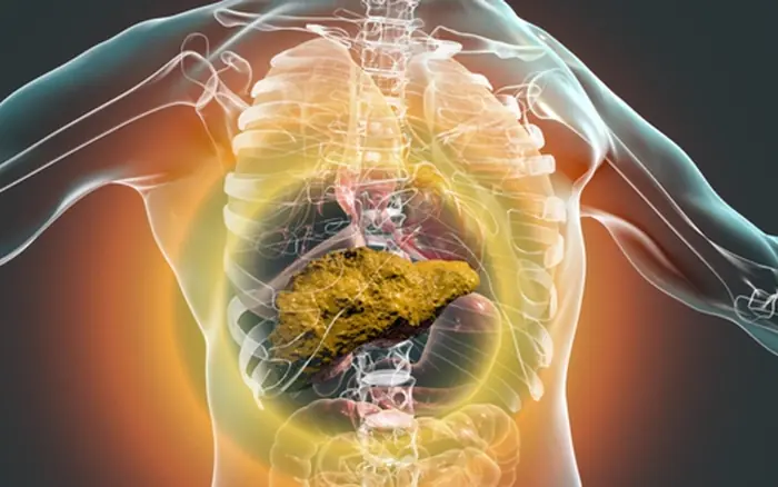 Doctors warn: Your body may show “3 yellows and 1 red” when the liver is unhealthy