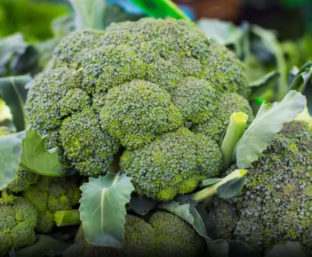 Doctors reveal that green broccoli causes...see more