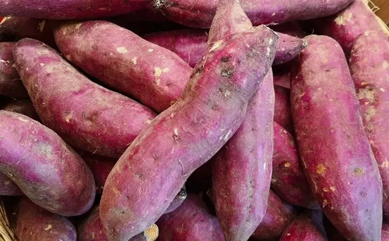 Sweet potatoes: A popular superfood but potentially harmful for some people