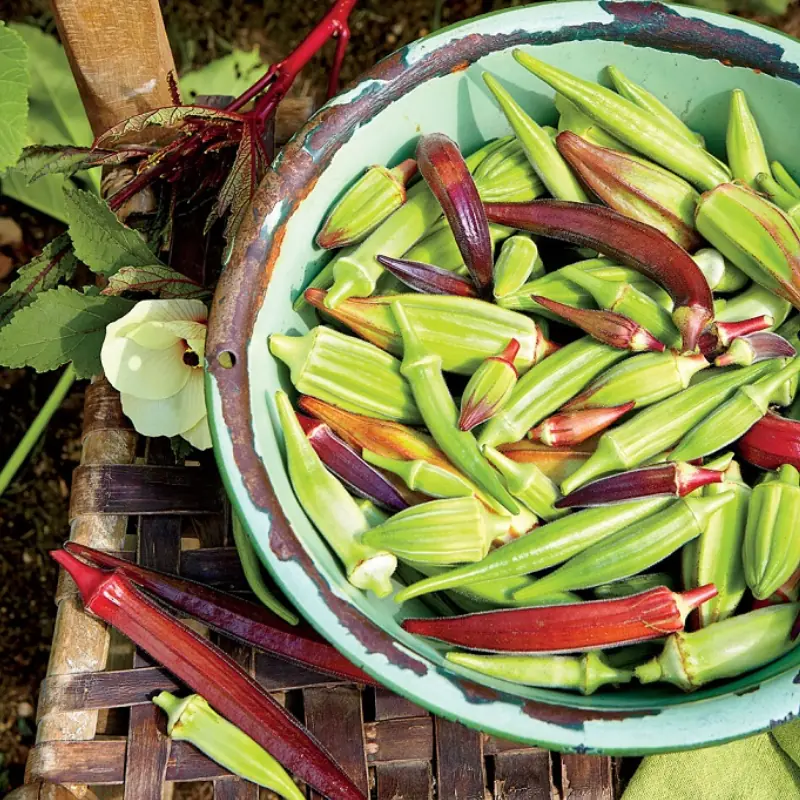 This common vegetable may affect your body in unexpected ways