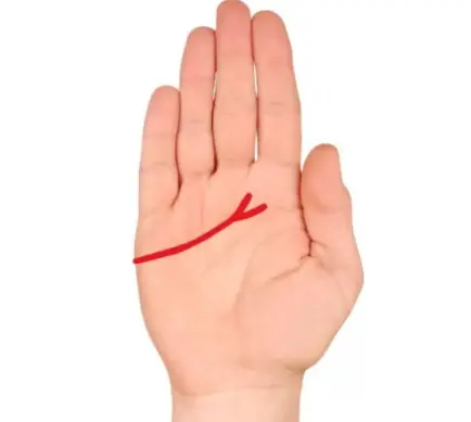 Palmistry and the Interpretation of the Lines in the Palms of the Hands