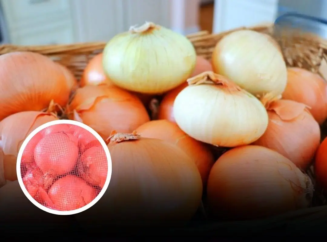 Here’s Why They Don’t Belong in the Fridge