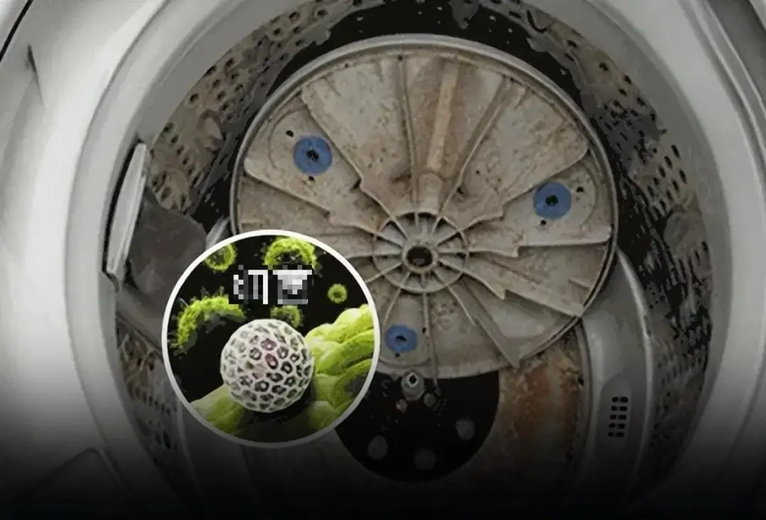 There’s one household item most people forget to clean, yet it can quickly turn into a hotspot for bacteria and illness