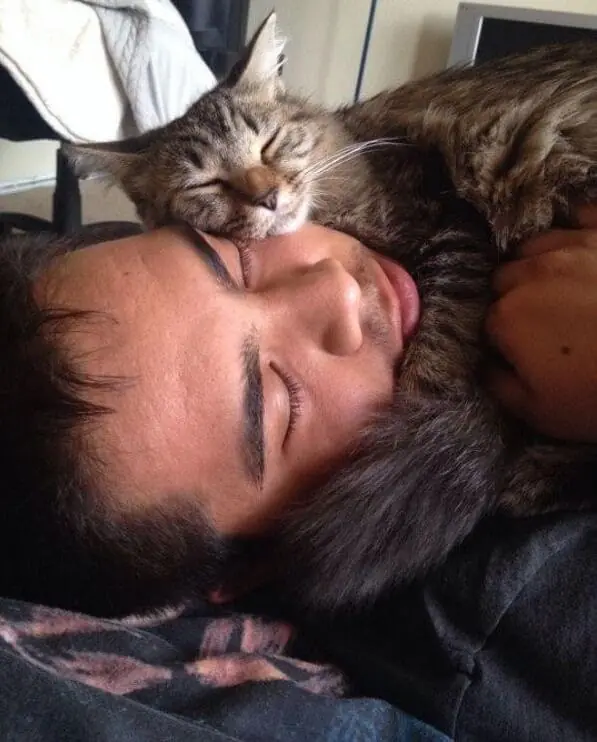 When Your Cat Wants to Sleep in Your Bed, There’s Often a Surprising Reason Behind It