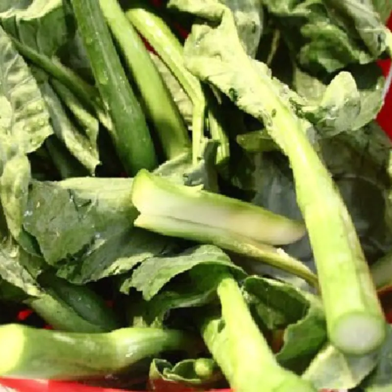 Chefs and nutritionists are suddenly obsessed with this vegetable