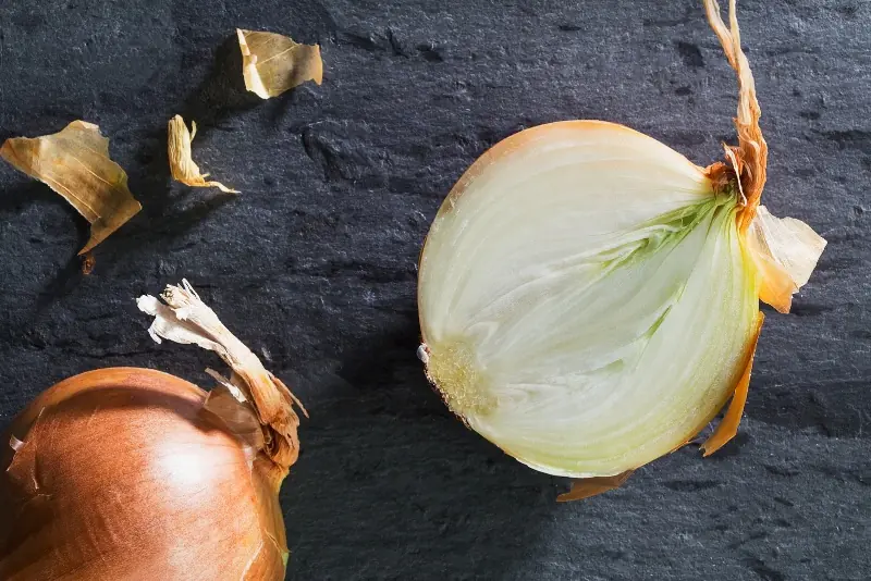 4 practical benefits of placing an onion in the corner of a room
