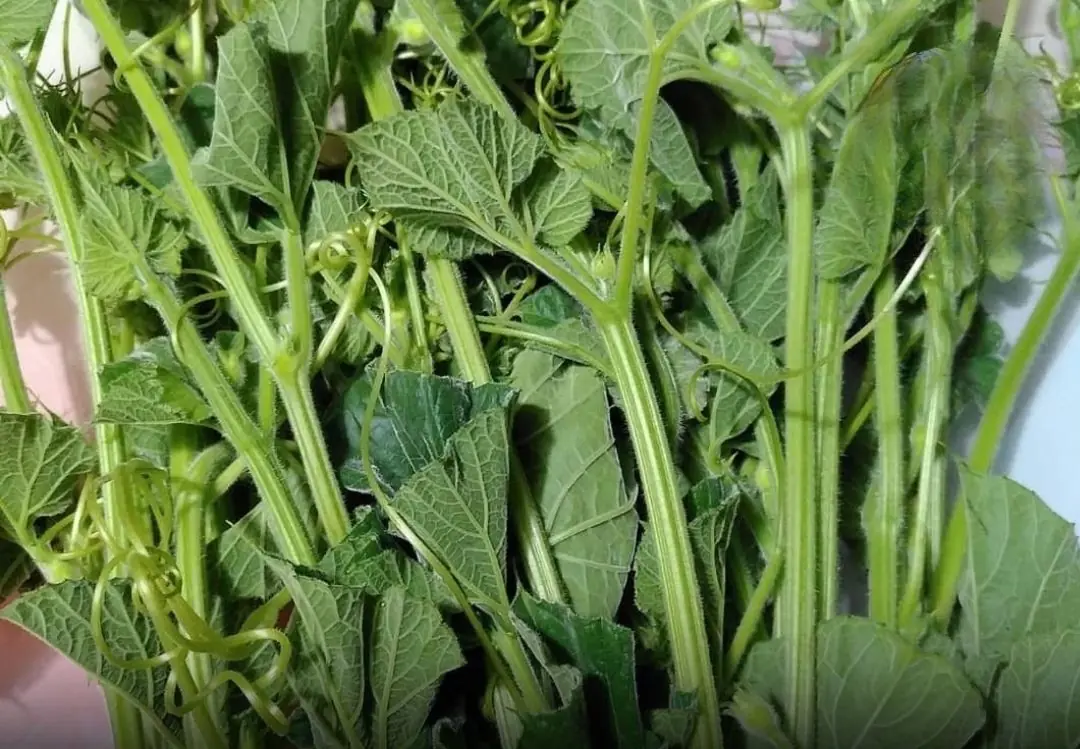 These 3 Vegetables May Raise Ca:ncer Risk