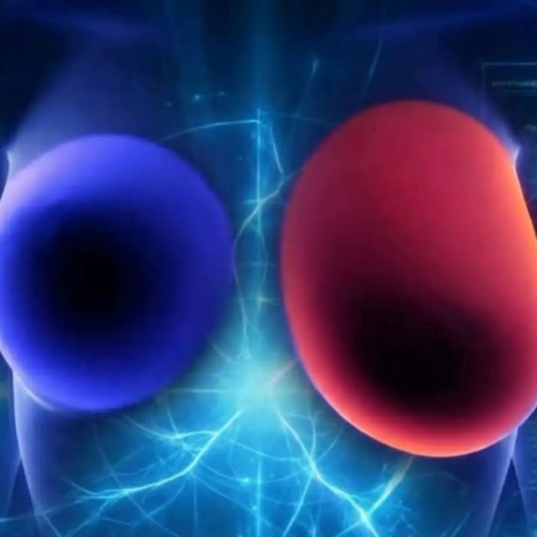 Critical Warning: 10 Early Breast Can:cer Signs Every Woman Needs to Know Now