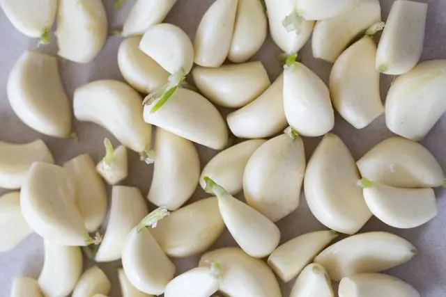 Why eating sprouted garlic is healthier than you think?