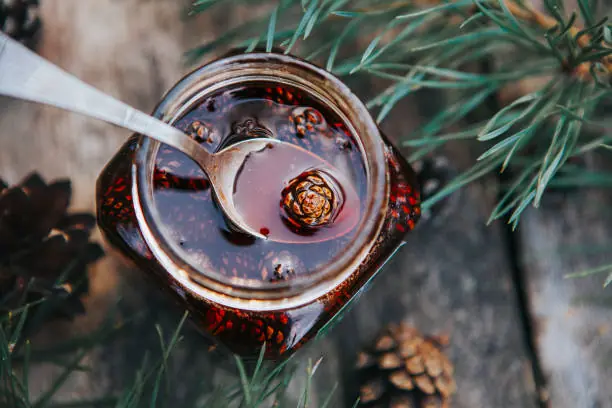 Pine Cone Syrup Made Simple: Benefits, How to Make It, and Ways to Use It