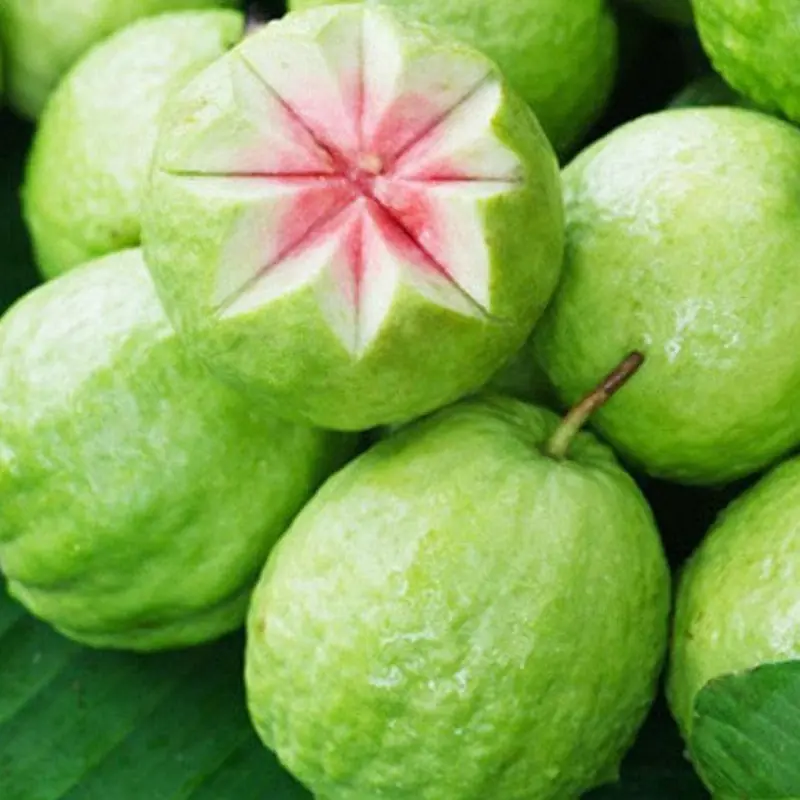 What Happens to Your Body When You Eat Guava? Doctors Explain