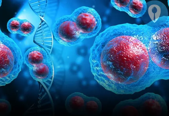 7 Anti-Can:cer Foods That K.ill Cancer The Moment You Start Eating Them