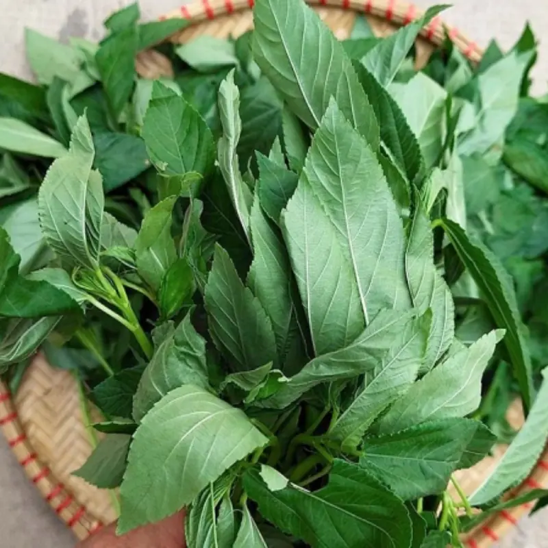 Iron-Rich Vegetables: A Natural Boost for Heart Health