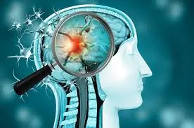 These 5 Common Habits Are Actually Very Harmful to Your Brain