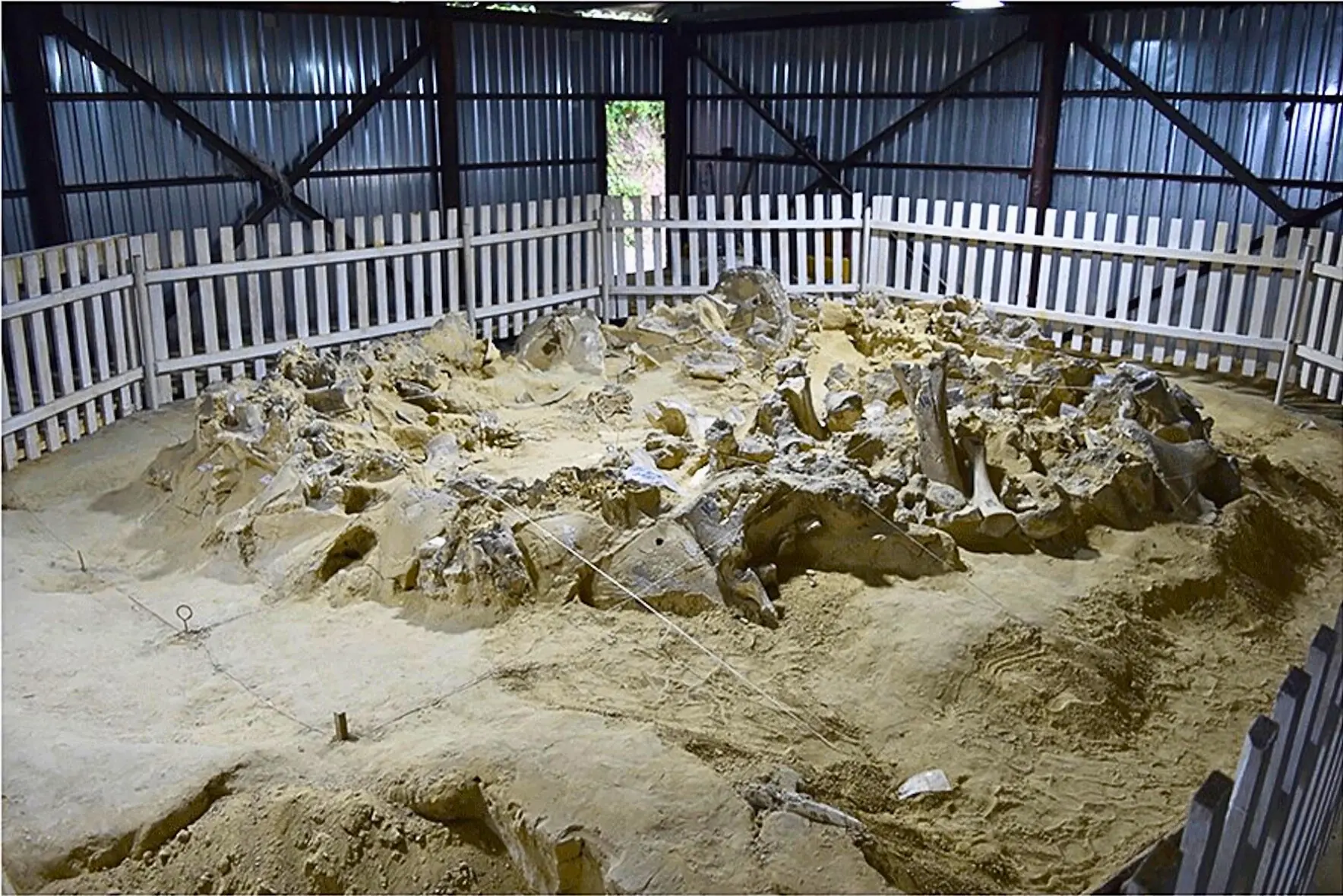 New Dates Obtained for Mammoth-Bone Structure in Ukraine