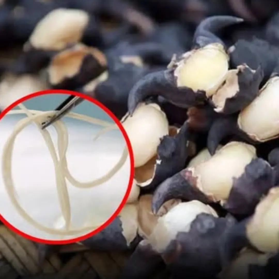 These 5 Vegetables Can Contain Hidden Worms — Be Careful When Eating Them Raw
