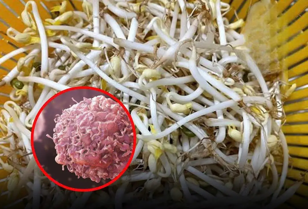 These “Healthy” Vegetables Could Actually Increase Canc:er Risk — Experts Warn to Avoid