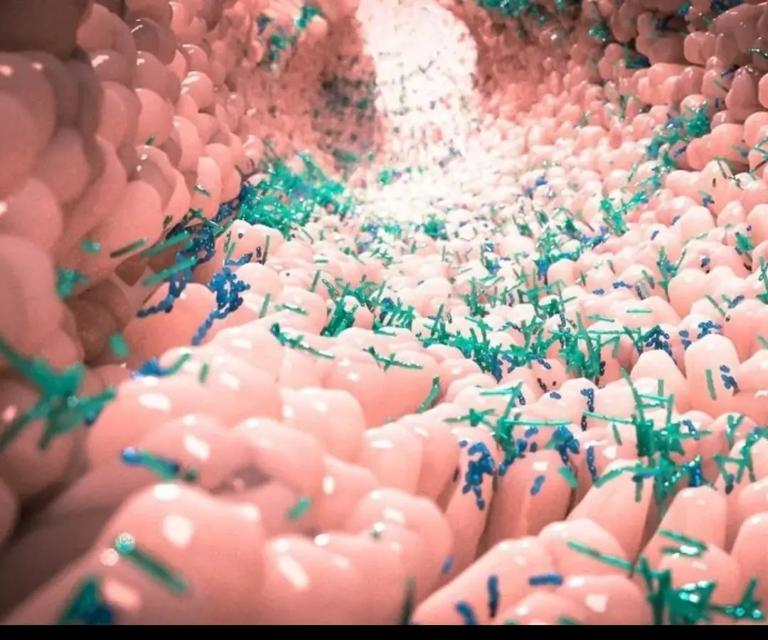 Twin Study Reveals Gut Microbiome's Role in Multiple Sclerosis Development.....