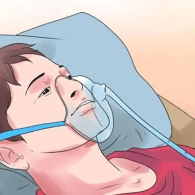 The Body Can Sense When Life Is Near Its End — And the First Signs May Appear in the Nose