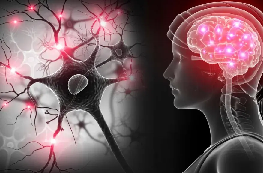 Don’t Ignore These 10 Common Warning Signs of Neurological Disorders