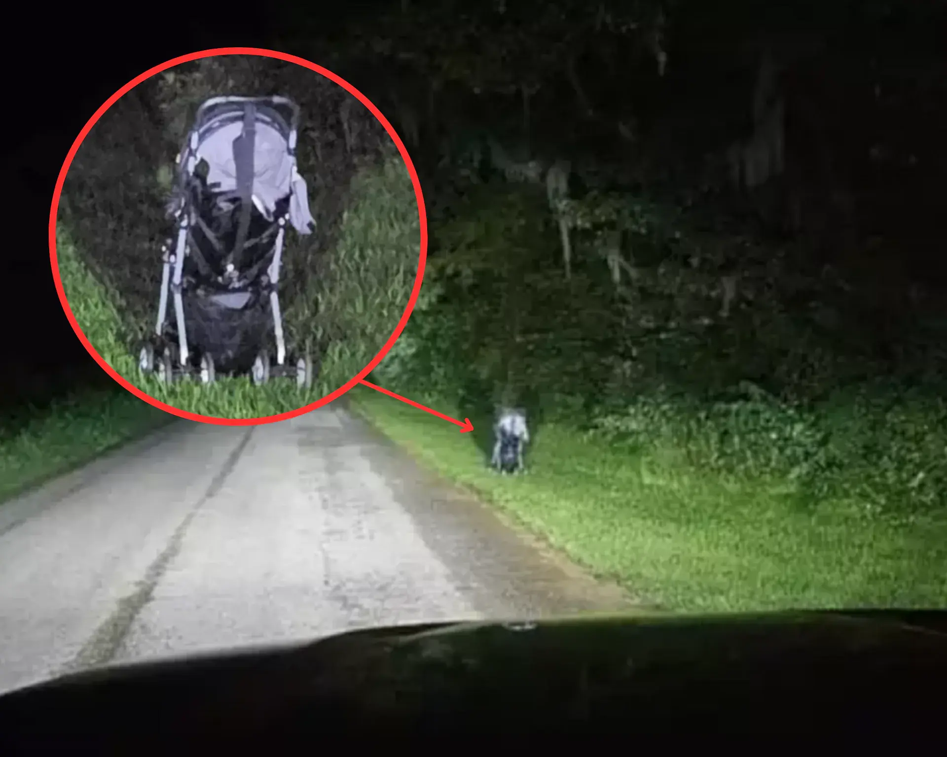 Out at Night and See This Scene? Don’t Get Closer