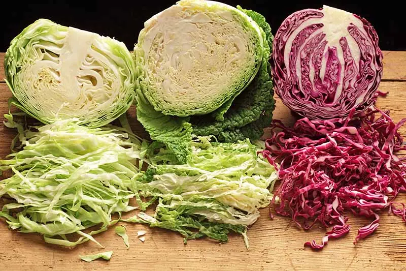 Cabbage Is Hailed as a Superfood — But for These Four Groups, It Can Be a Silent Health Risk