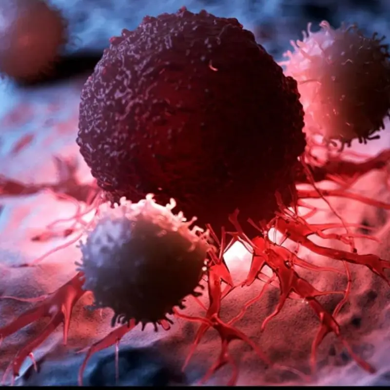 Your Diet Matters: 8 Foods That May Support Can.cer Prevention